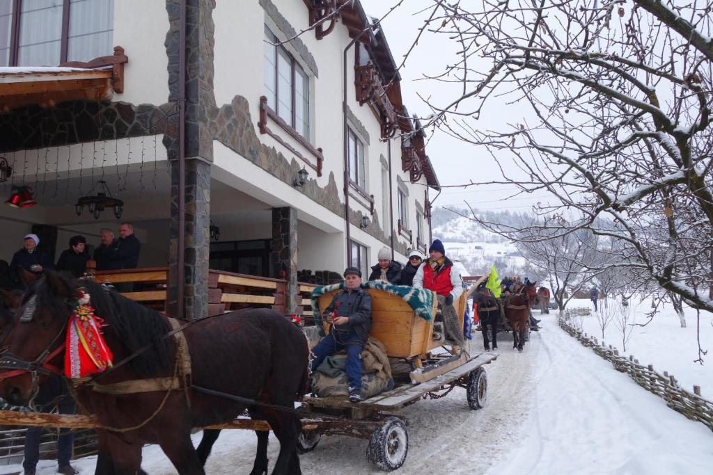 Pensiunea Lacramioara, Săcel, Maramureş — foto 19
