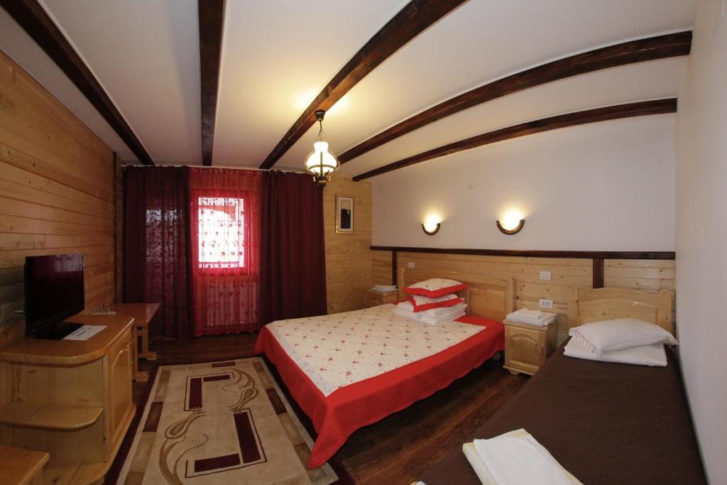 Pensiunea Lacramioara, Săcel, Maramureş — foto 54