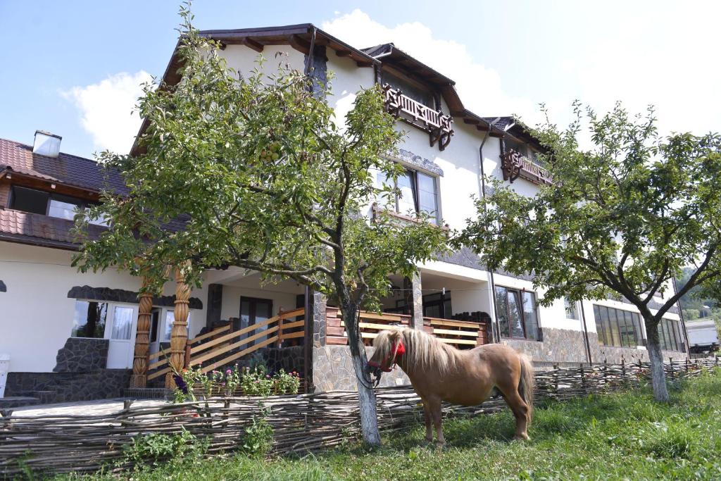 Pensiunea Lacramioara, Săcel, Maramureş — foto 27
