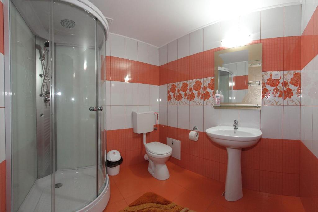 Pensiunea Lacramioara, Săcel, Maramureş — foto 35
