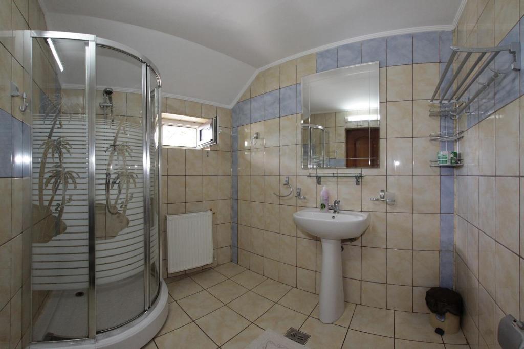 Pensiunea Lacramioara, Săcel, Maramureş — foto 43
