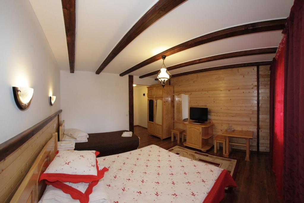 Pensiunea Lacramioara, Săcel, Maramureş — foto 46