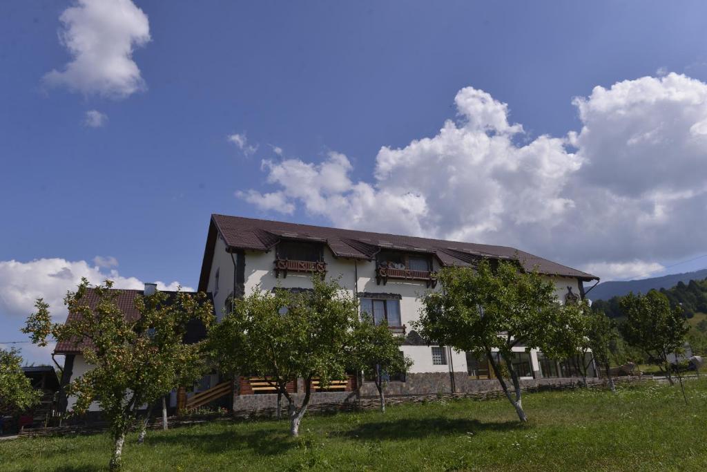 Pensiunea Lacramioara, Săcel, Maramureş — foto 1