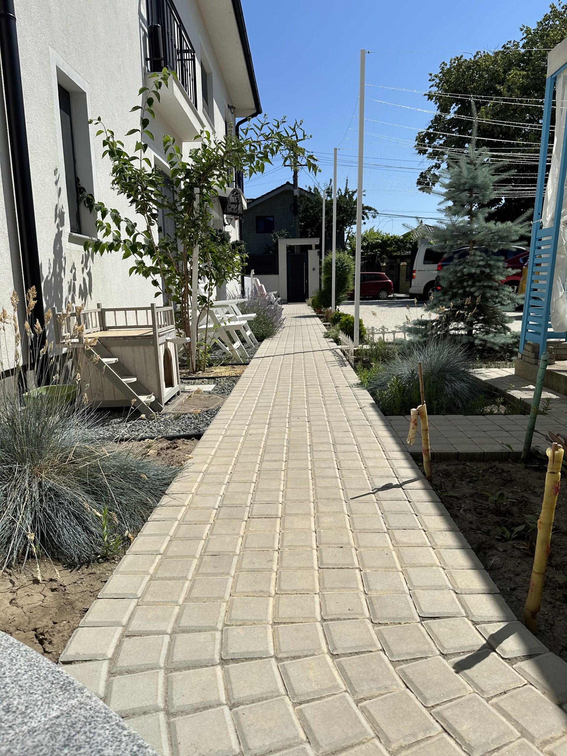 MEMangalia — foto 22