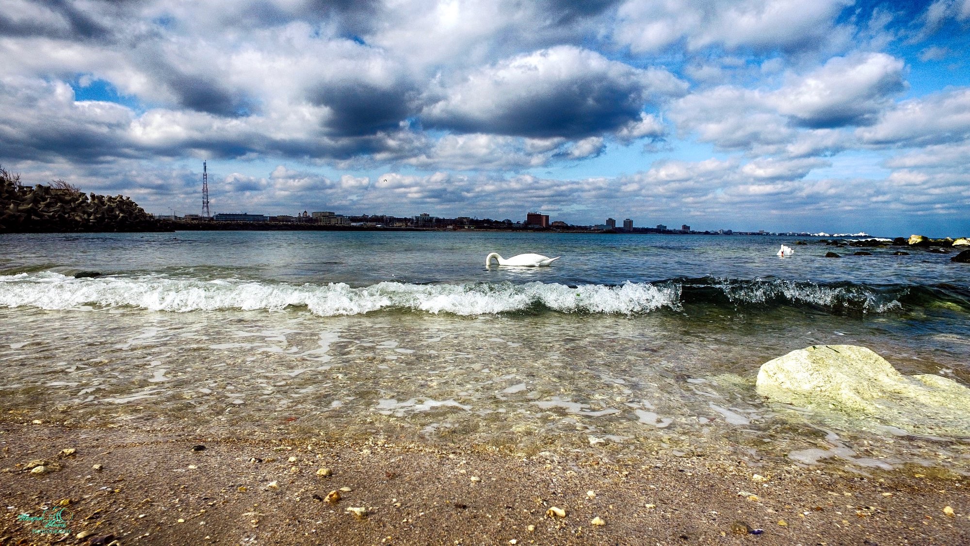 MEMangalia — foto 26
