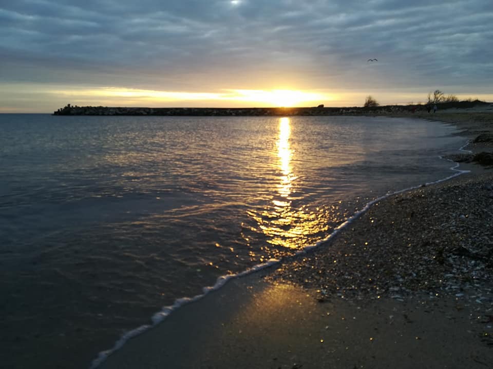 MEMangalia — foto 27