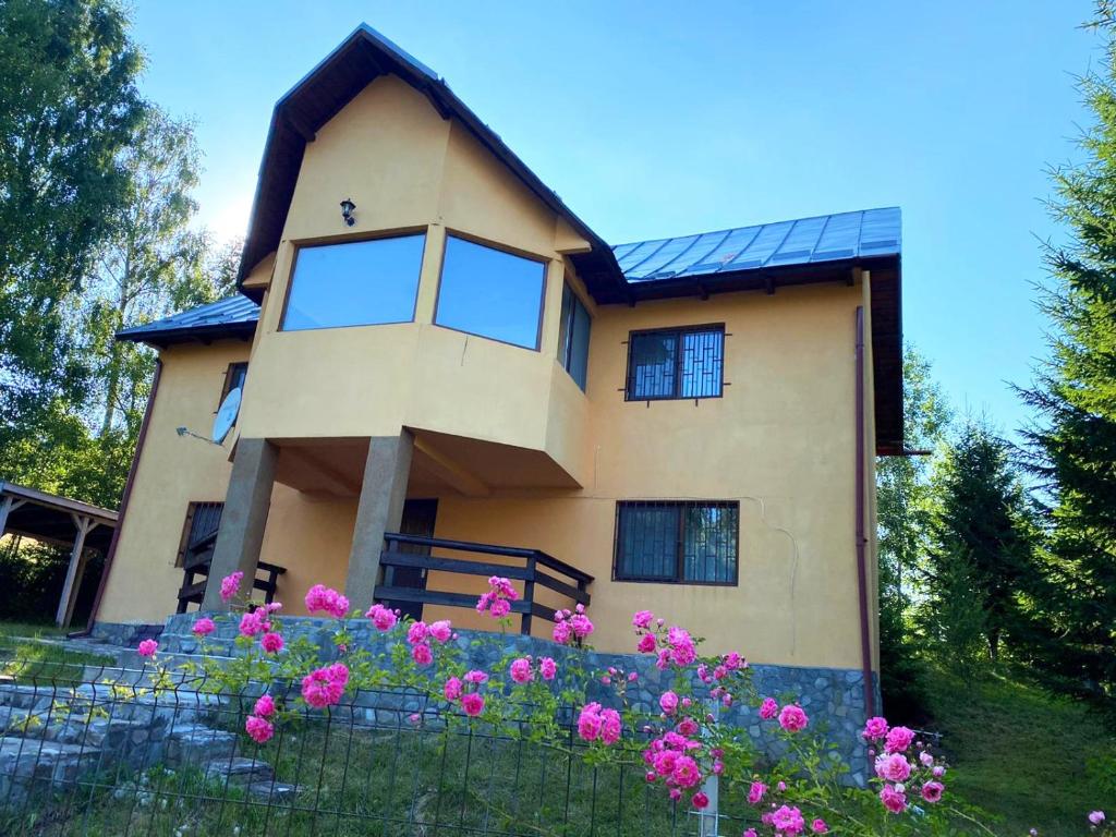 Casa Ionel si Dani, Moieciu de Jos, Brasov — foto 11
