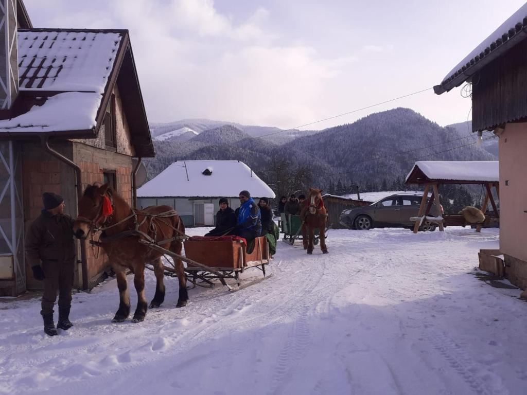 Casa Ionel si Dani, Moieciu de Jos, Brasov — foto 19