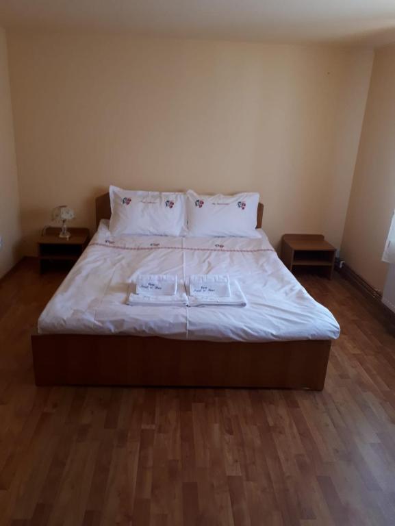 Casa Ionel si Dani, Moieciu de Jos, Brasov — foto 3