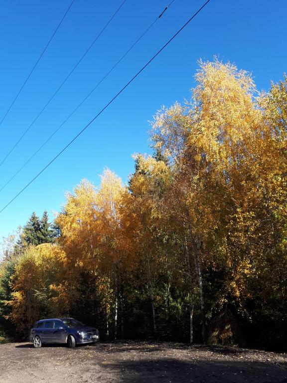 Casa Ionel si Dani, Moieciu de Jos, Brasov — foto 30