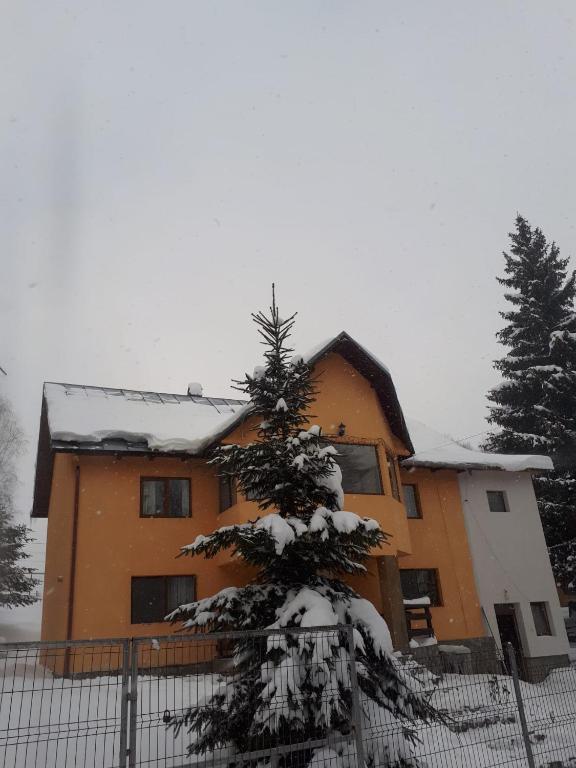 Casa Ionel si Dani, Moieciu de Jos, Brasov — foto 31