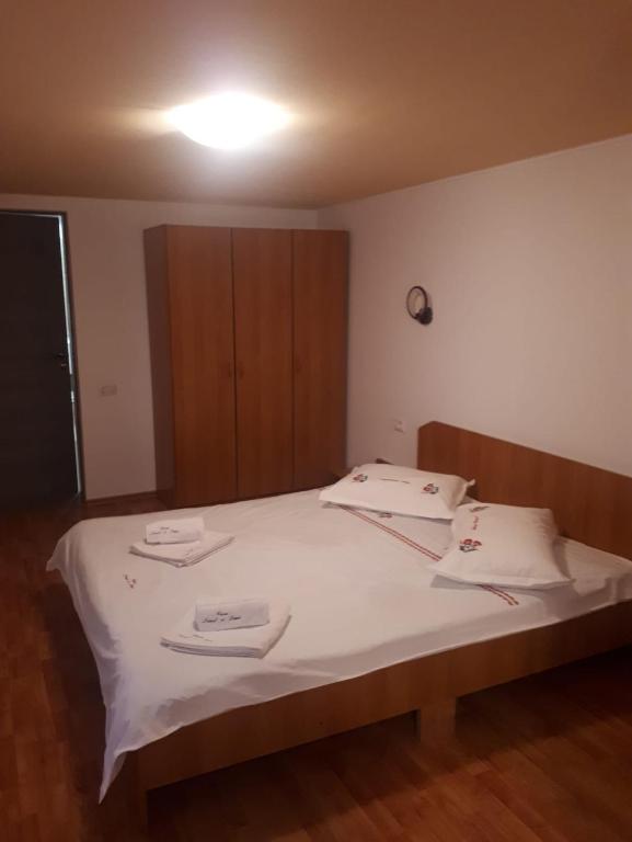Casa Ionel si Dani, Moieciu de Jos, Brasov — foto 38