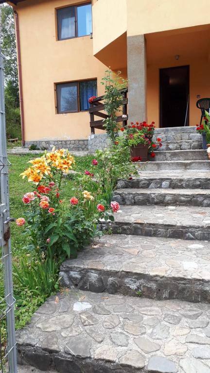 Casa Ionel si Dani, Moieciu de Jos, Brasov — foto 41
