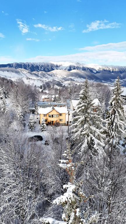Casa Ionel si Dani, Moieciu de Jos, Brasov — foto 42