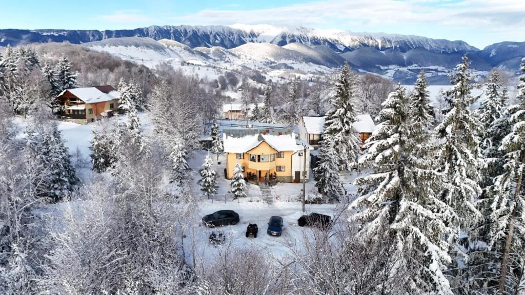 Casa Ionel si Dani, Moieciu de Jos, Brasov — foto 43