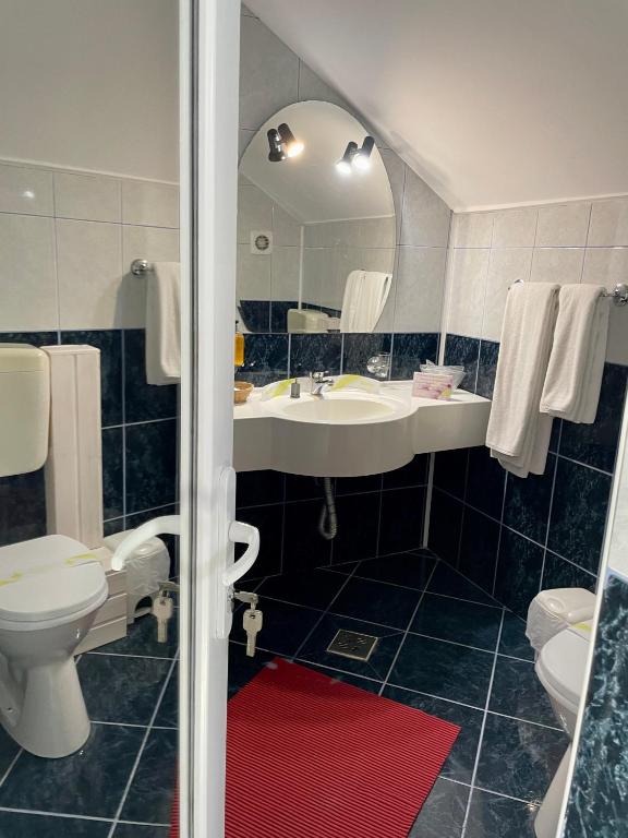 Casa Teo Mahmudia, Tulcea — foto 77