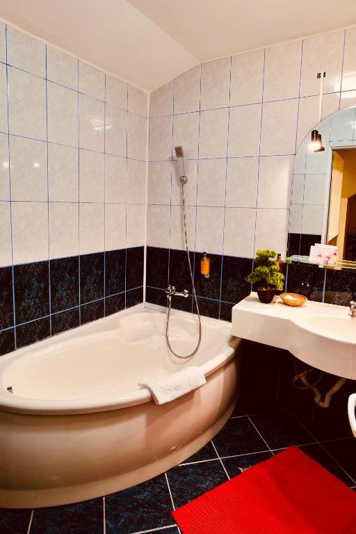 Casa Teo Mahmudia, Tulcea — foto 3