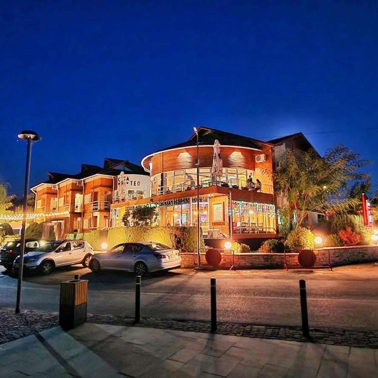 Casa Teo Mahmudia, Tulcea — foto 7