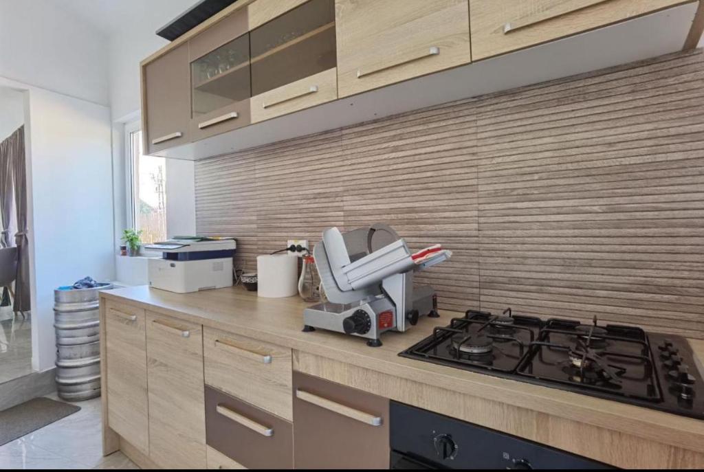 Pensiunea Prestige House Delux — foto 26