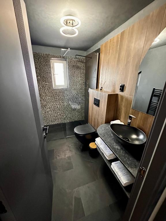 Pensiunea Prestige House Delux — foto 49