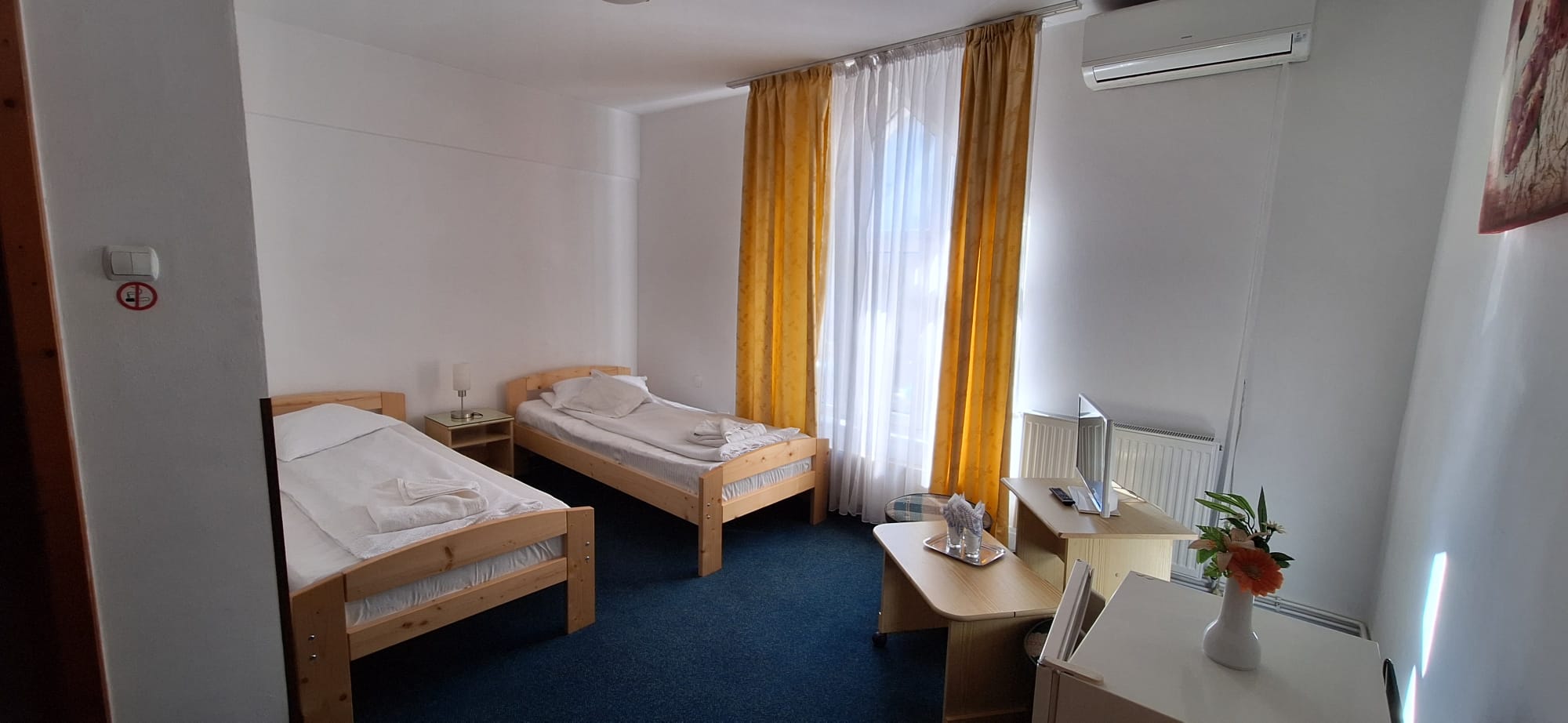 Casa Alesiv, Cluj Napoca — foto 14