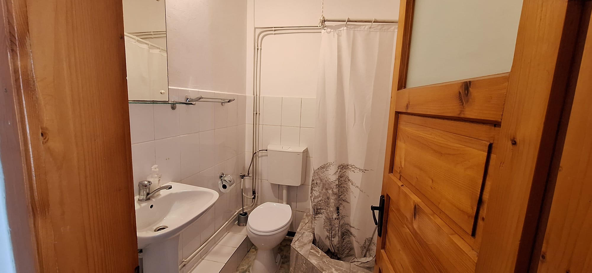 Casa Alesiv, Cluj Napoca — foto 11