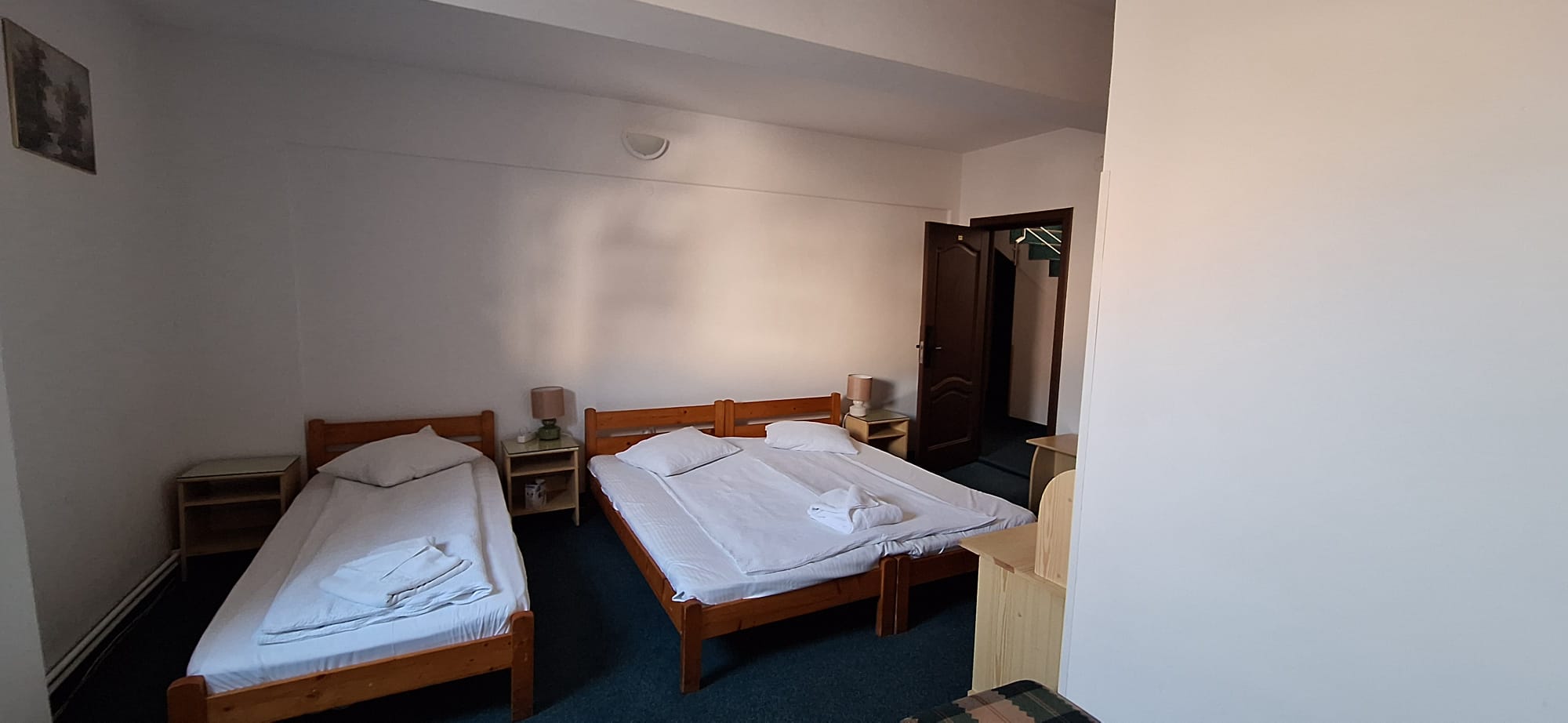 Casa Alesiv, Cluj Napoca — foto 9