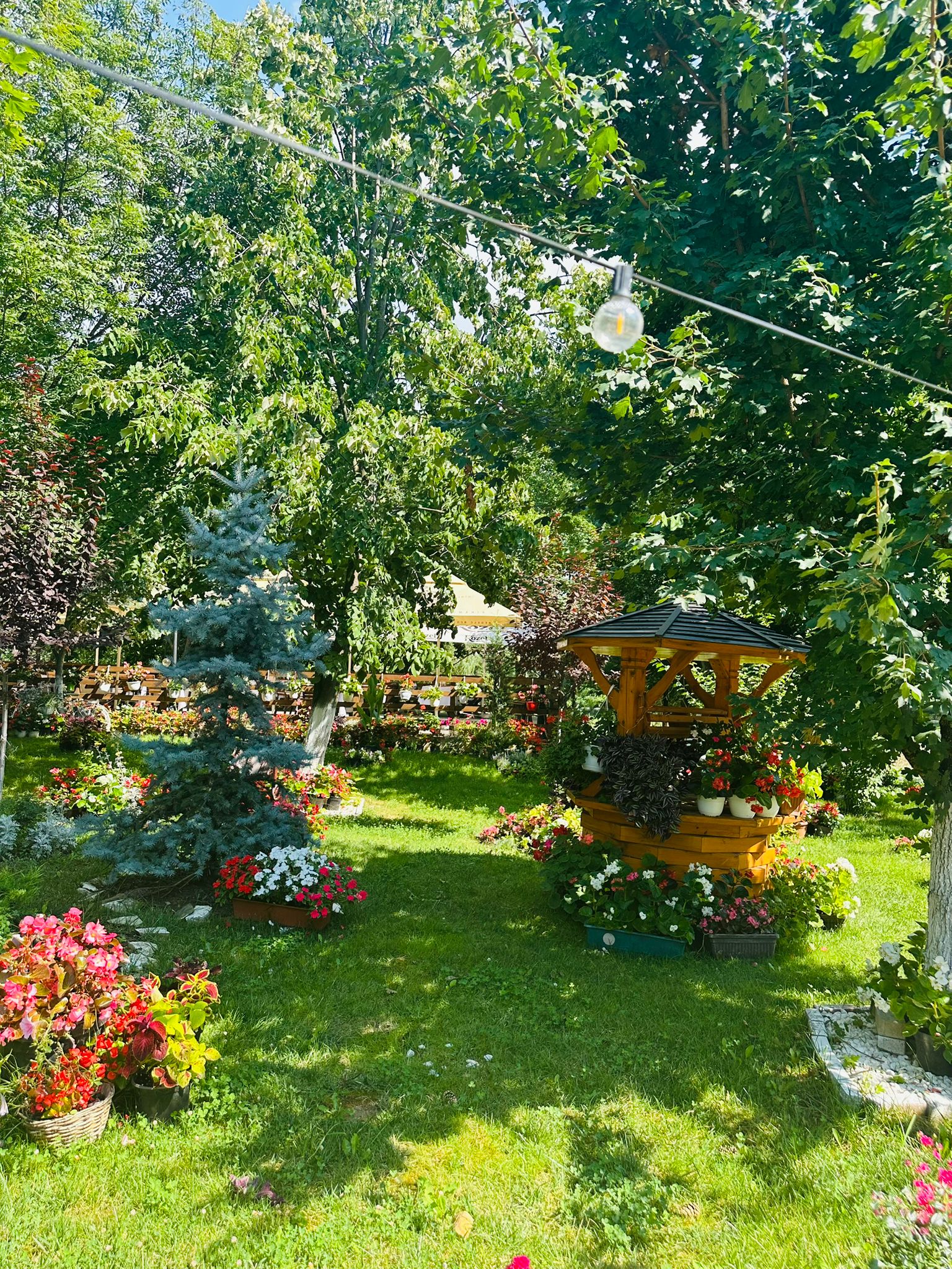 Hanul Marioarei, Roman — foto 23