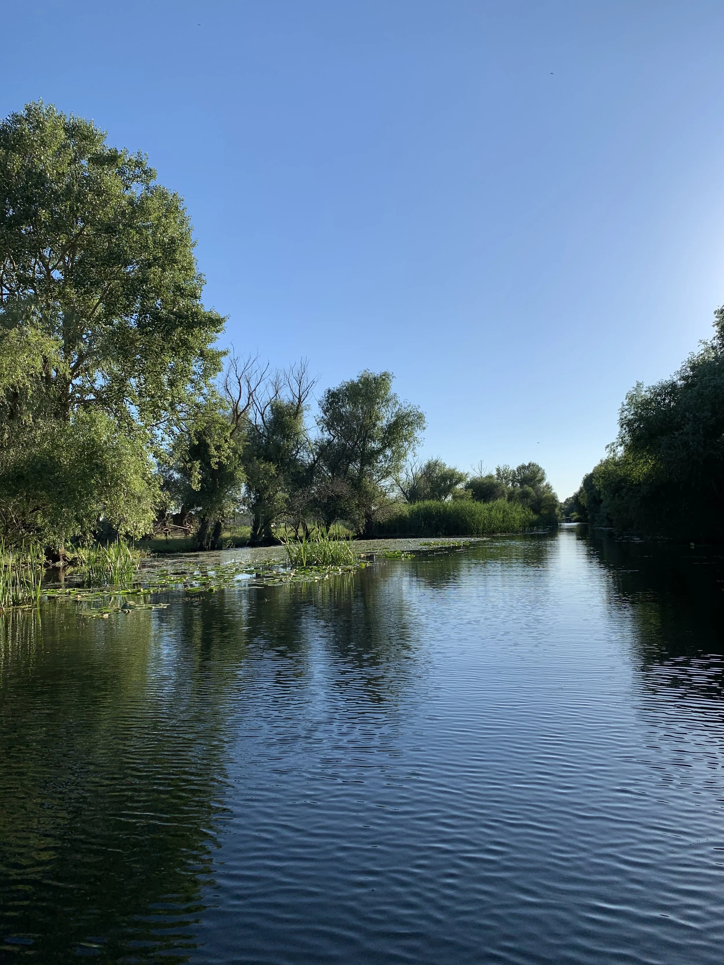 Pensiunea Eden Delta Dunarii — foto 18