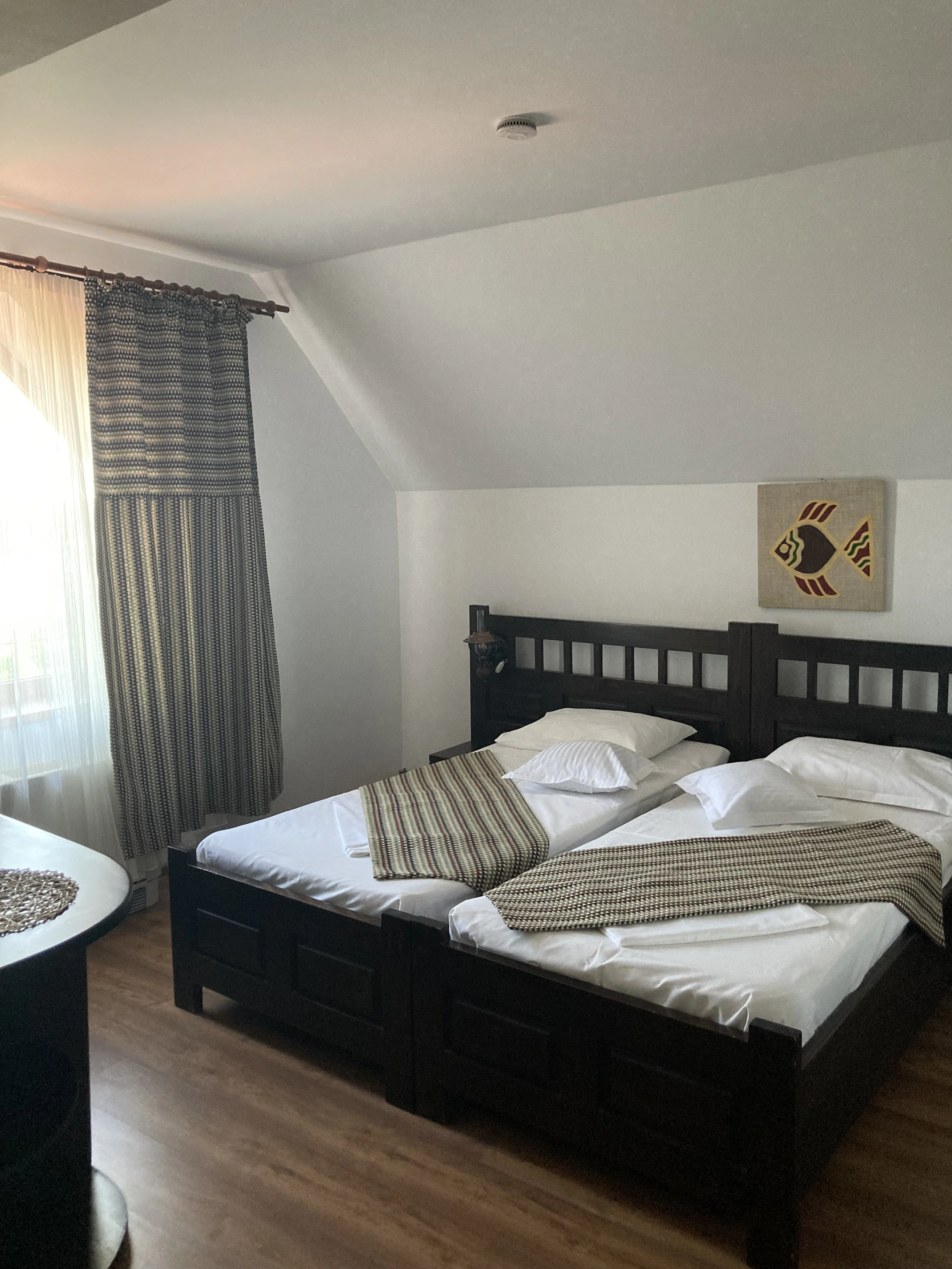 Pensiunea Eden Delta Dunarii — foto 27