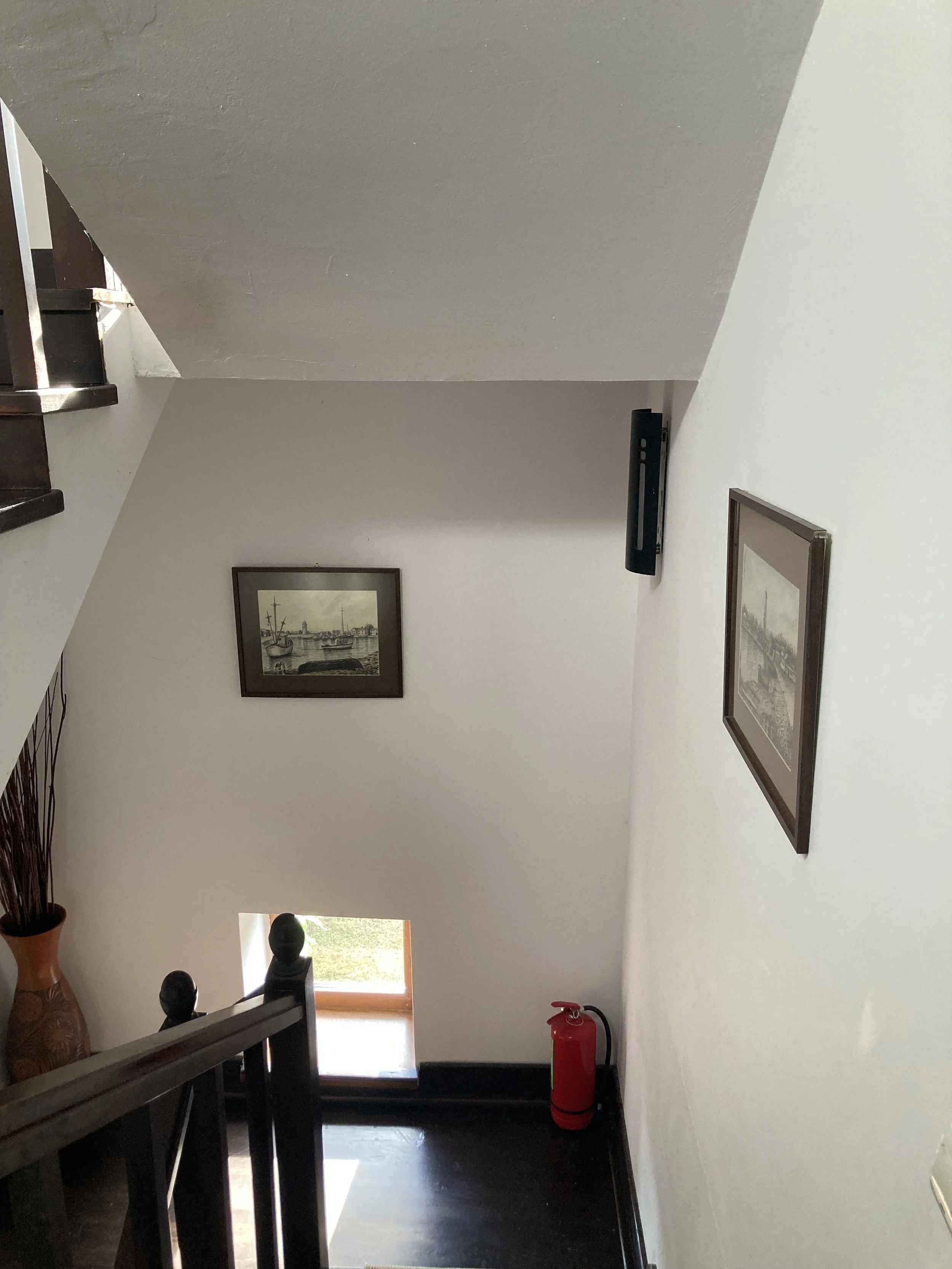 Pensiunea Eden Delta Dunarii — foto 36