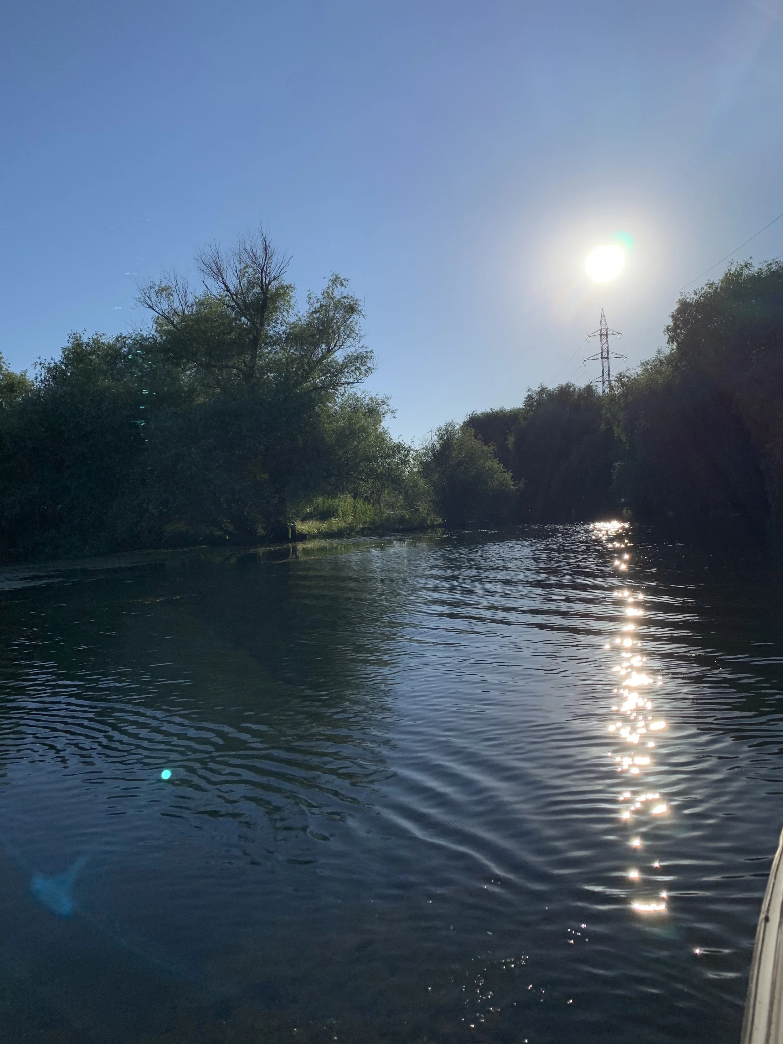 Pensiunea Eden Delta Dunarii — foto 20