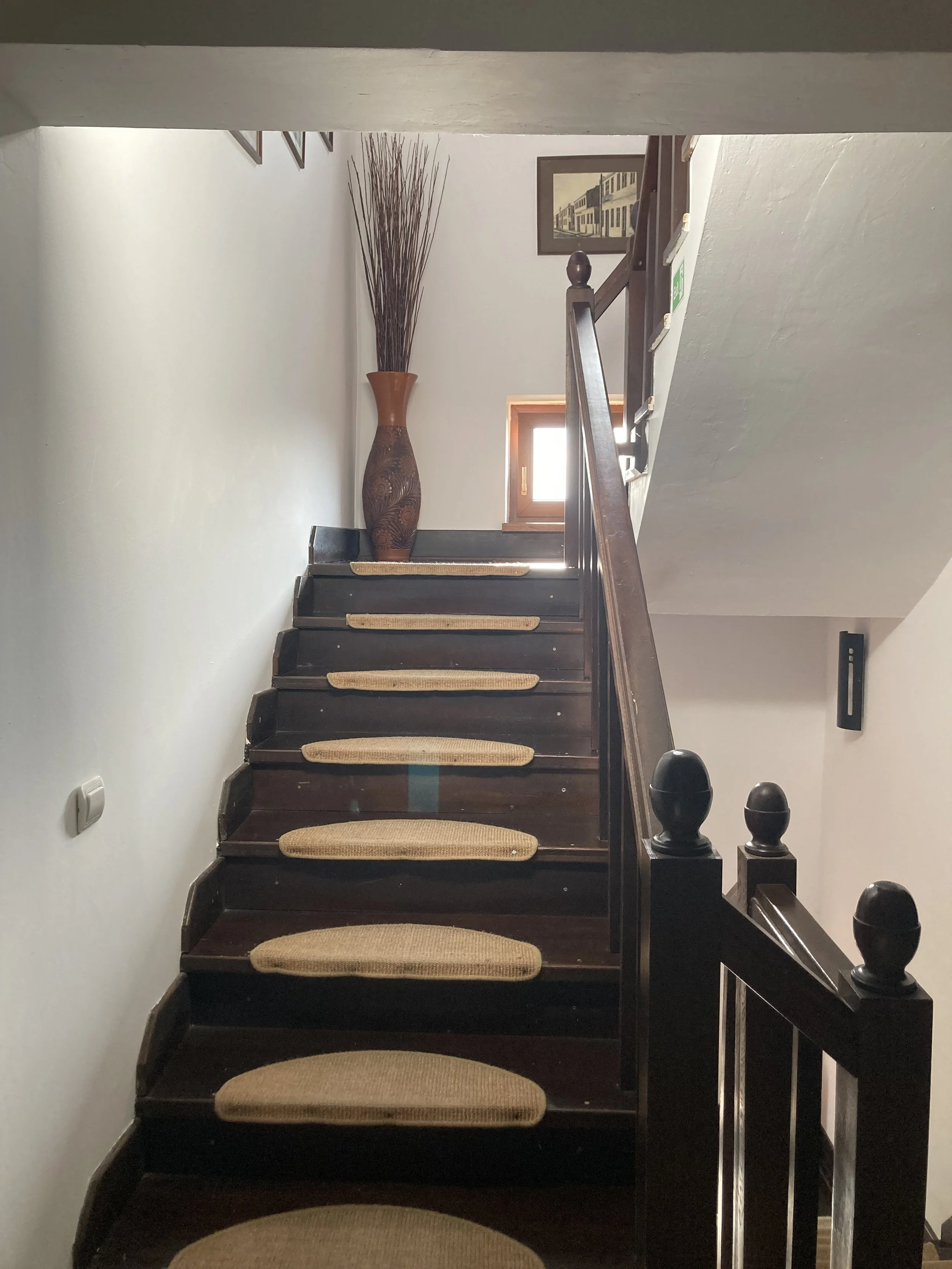 Pensiunea Eden Delta Dunarii — foto 34