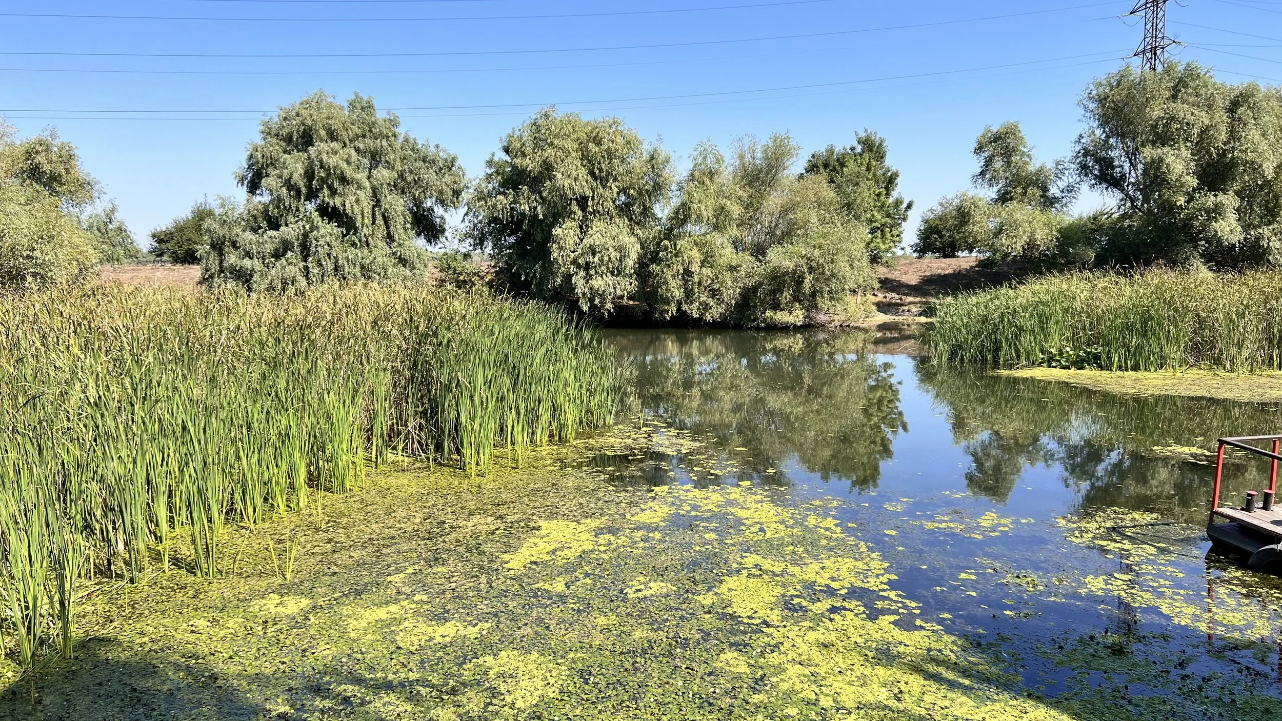 Pensiunea Eden Delta Dunarii — foto 3