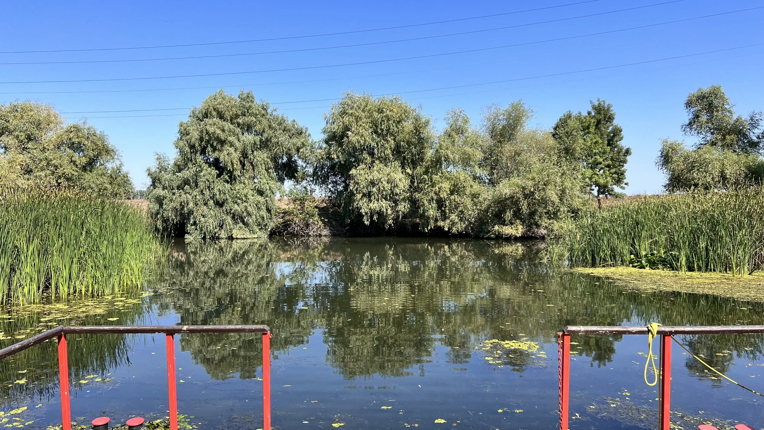 Pensiunea Eden Delta Dunarii — foto 4