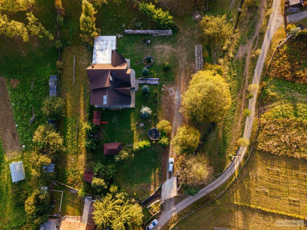 Pensiunea Floarea Bucovinei, Gura Humorului — foto 35