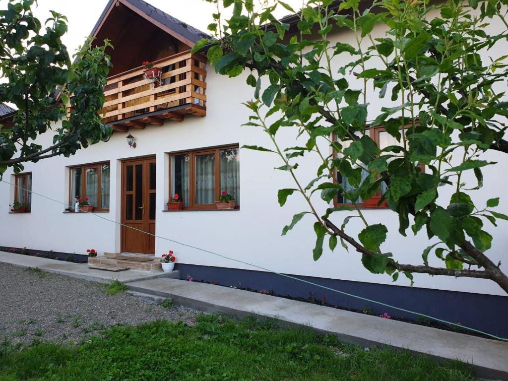Pensiunea Ilea, Maramures, Ieud — foto 1