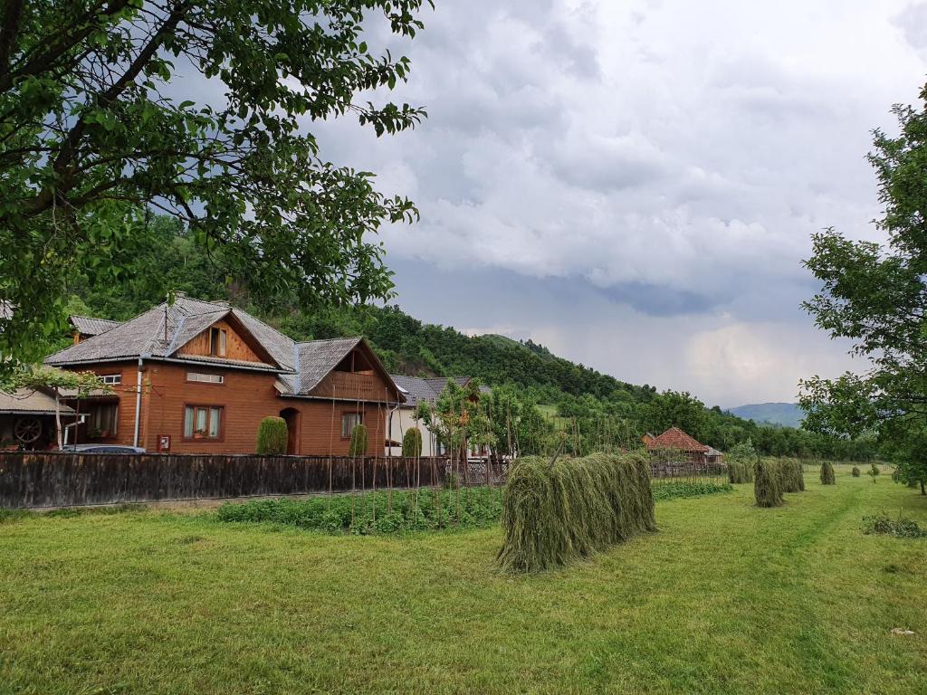 Pensiunea Ilea, Maramures, Ieud — foto 10