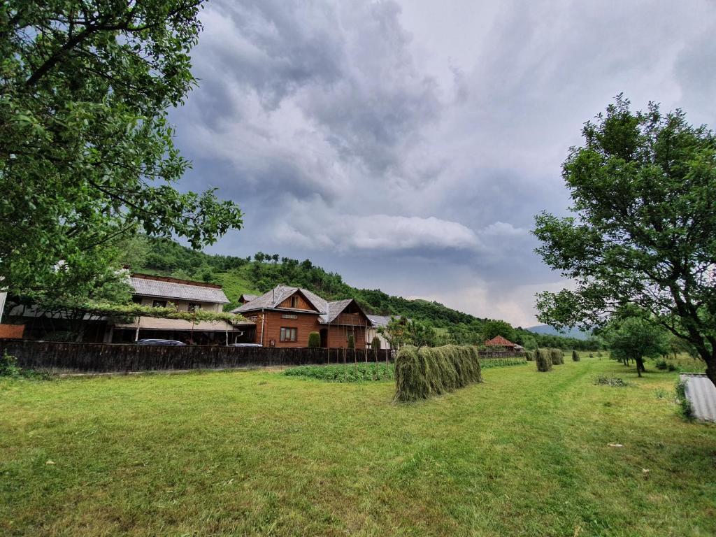 Pensiunea Ilea, Maramures, Ieud — foto 11