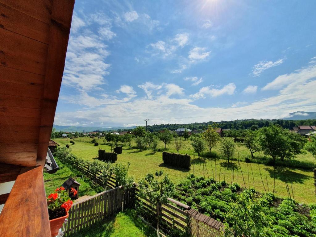Pensiunea Ilea, Maramures, Ieud — foto 12
