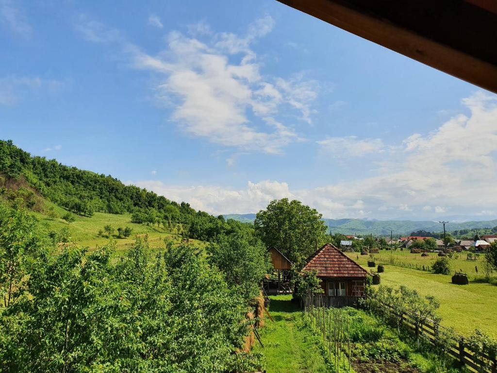 Pensiunea Ilea, Maramures, Ieud — foto 24