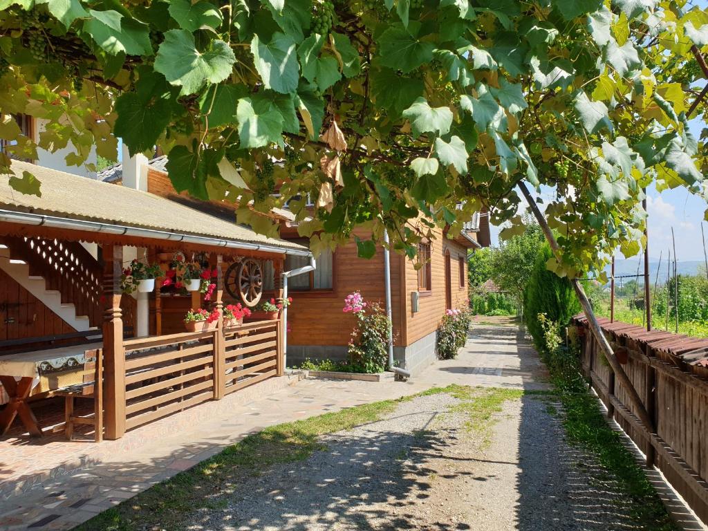 Pensiunea Ilea, Maramures, Ieud — foto 29