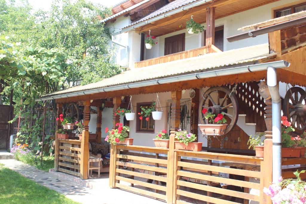 Pensiunea Ilea, Maramures, Ieud — foto 35