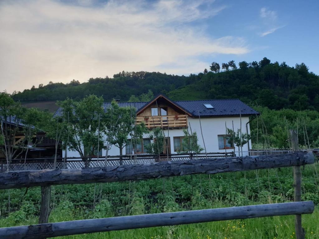 Pensiunea Ilea, Maramures, Ieud — foto 5