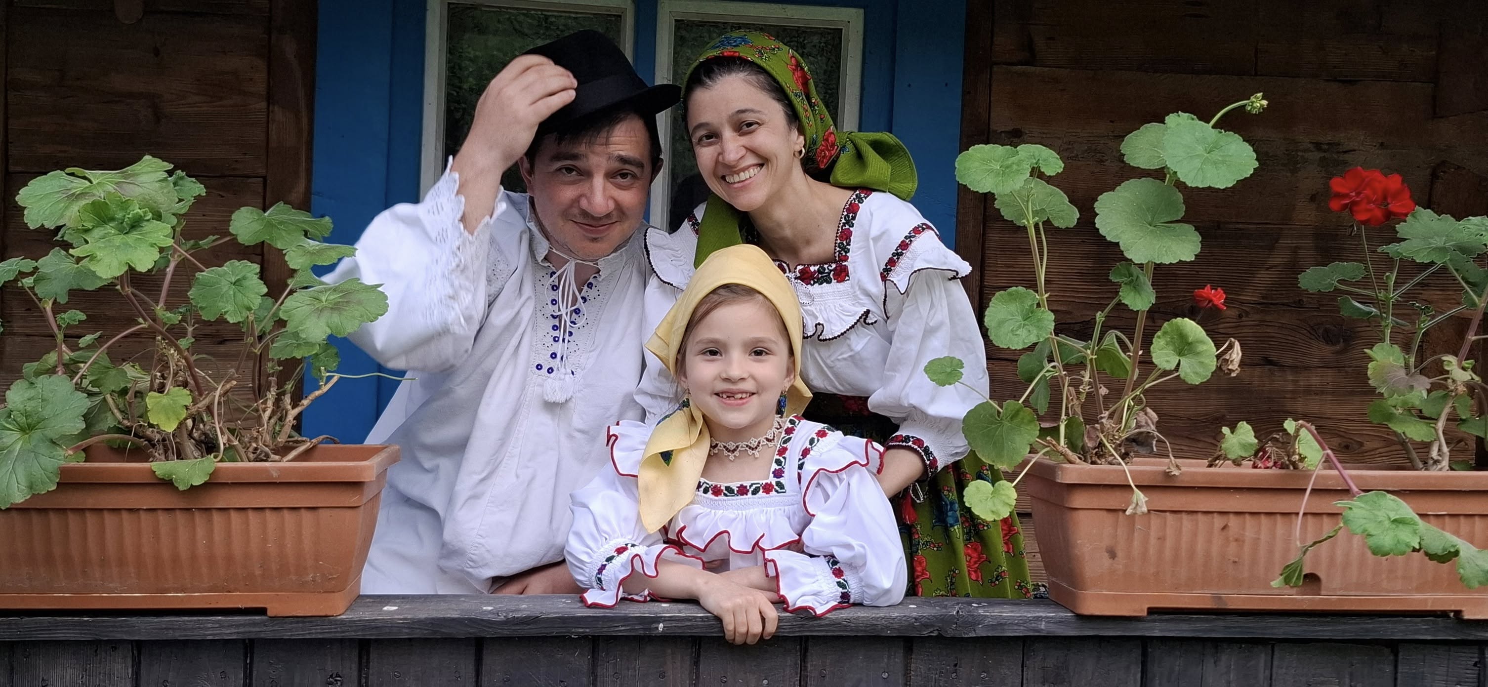 Pensiunea Ilea, Maramures, Ieud — foto 44