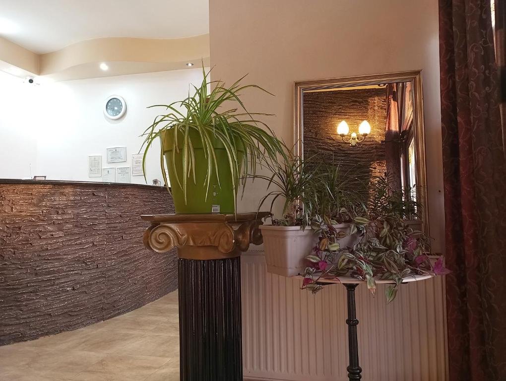 Hotel Royal Oradea — foto 43